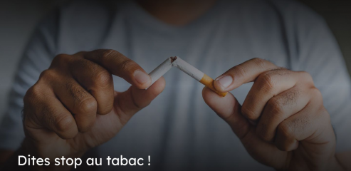 https://www.tabac-conseil.com